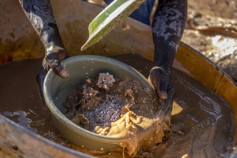 Outrage over illegal alluvial gold mining syndicate polluting dams ...